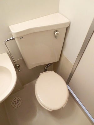 Toilet. Western-style toilet