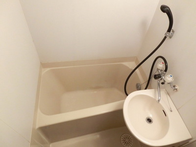 Bath. Hotel-like unit bus