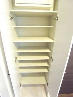 Entrance. Shoes closet