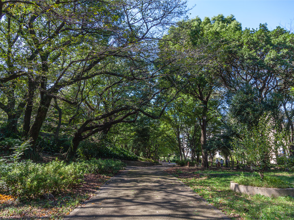 Surrounding environment. Has the Hakone the best altitude is high at the Yamanote Line "Toyama park" is an 8-minute walk (photo / About 640m). Yet the city center, The lush environment in the vast grounds, It is likely to spend a healing moments.