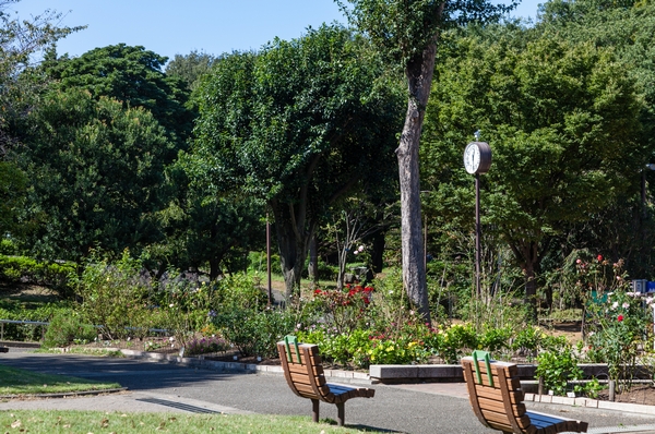 Edo Period, Owari Domain suburban residence was that Toyama Park (about 640m) is a good place for a stroll. The lush green wide park there is also such as Hakone leaving the vestiges of bygone days. This is next to there is Kikui the town campus of Waseda University (about 440m), Kaori of educational is also rich