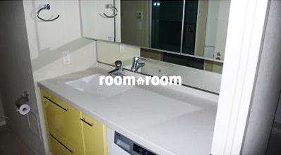 Washroom. Independent wash basin