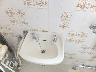 Washroom. Wash basin