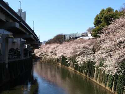 park. 1003m to Edogawa Park (park)