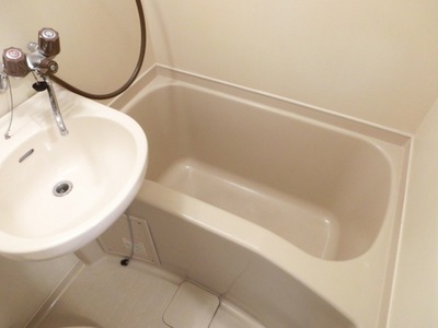 Bath. Hotel-like unit bus