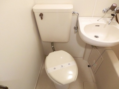 Toilet. Western-style toilet