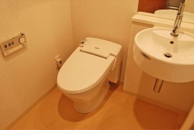 Toilet. Independent wash basin