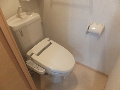 Toilet. reference image