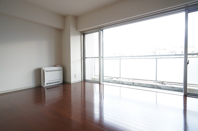 Living and room. South-facing living a lot of lighting surface