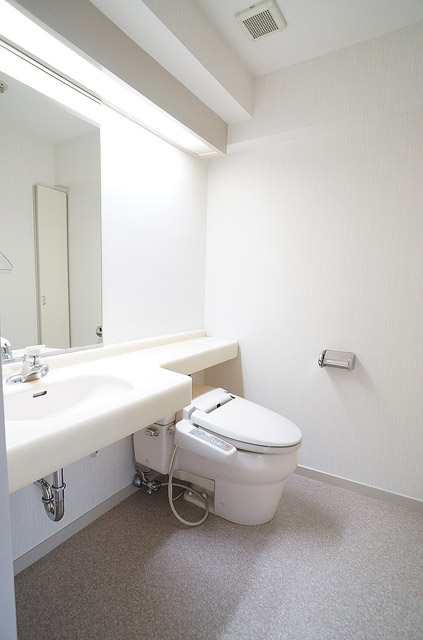 Washroom. Hotel specifications of the washroom and toilet