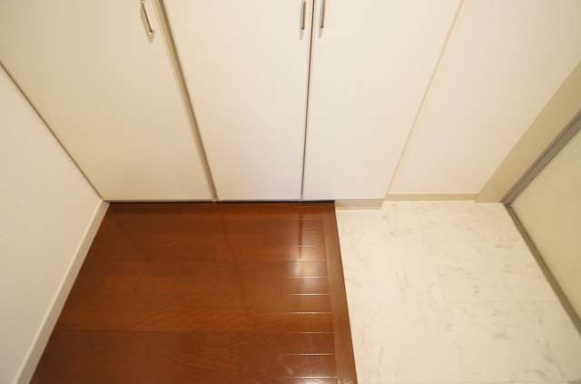 Entrance. There is a shoe box