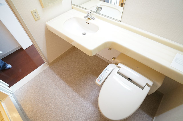 Toilet. Hot water cleaning function toilet seat