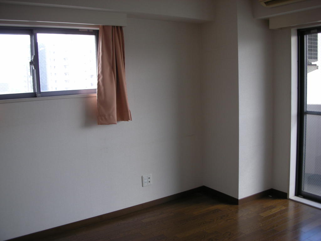 Living and room. South-facing sunny corner room