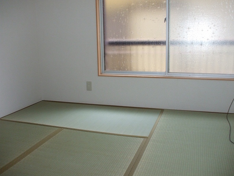 Living and room. Living