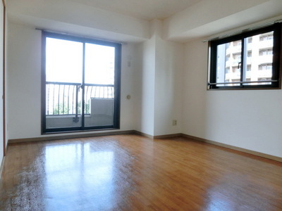 Living and room. Living room