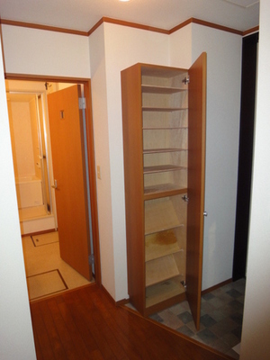 Entrance. Thor type of shoes BOX