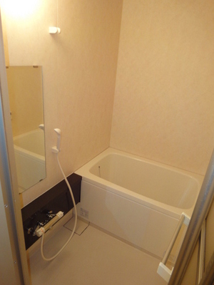 Bath. Add-fired with function