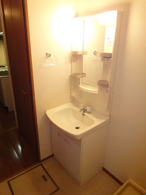 Washroom. Independent wash basin