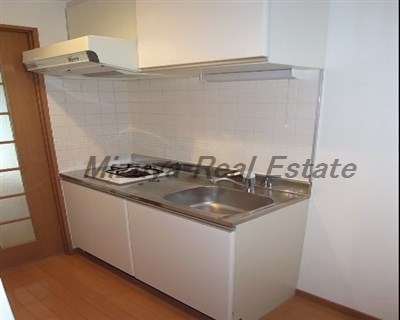 Kitchen. Gas stove system Kitchen