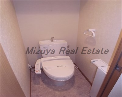 Other. Washlet toilet