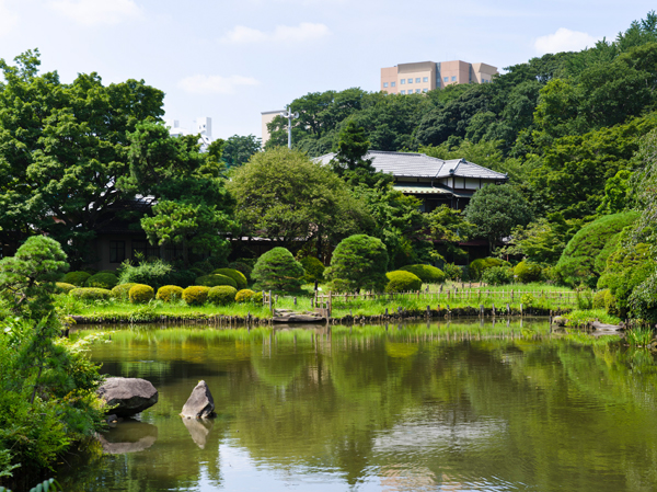 Surrounding environment. Okuma garden and the Edo full of new Edogawa park of around Waseda University Yukari, Such as Chinzan-so garden which was the elder statesman Aritomo Yamagata House of Meiji, Here and there is a place to feel the natural rich that I do not think the city center. Guests can enjoy a stroll on holidays, You can enjoy nature, It is calm location. (New Edogawa Park / About 320m ・ 4-minute walk)
