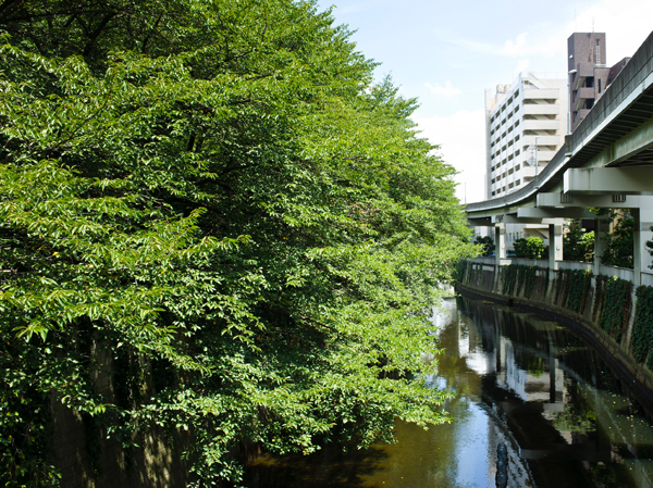 Surrounding environment. The Kanda River riverbank flowing through the side of the local, Shigeri trees and flowers along the flow, We have created a lush landscape. Appearance of calm that I do not think the city center, It is surrounded by a lush natural. Also, There is also a second kind educational district, Educational environment has been formed. (Kanda River / About 50m ・ 1-minute walk)