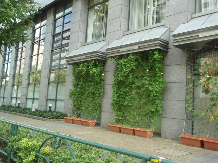 kindergarten ・ Nursery. 395m to private Nipponkoa Smile Kids Edogawabashi nursery