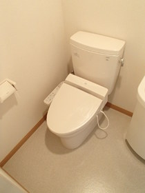 Toilet. It is a multi-function toilet seat