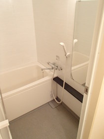 Bath. Beautiful bathroom