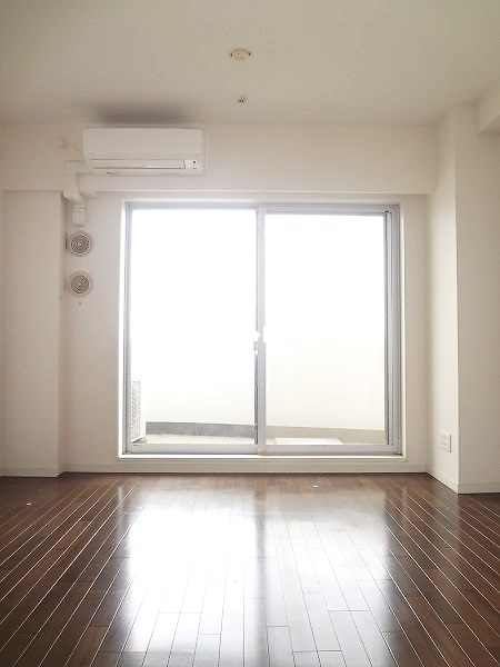 Living and room. Sunny room