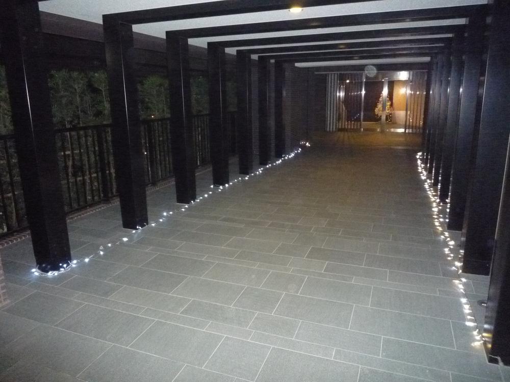 Entrance. Common areas