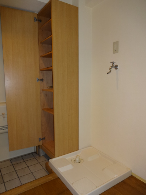 Other room space. Washing machine in the room