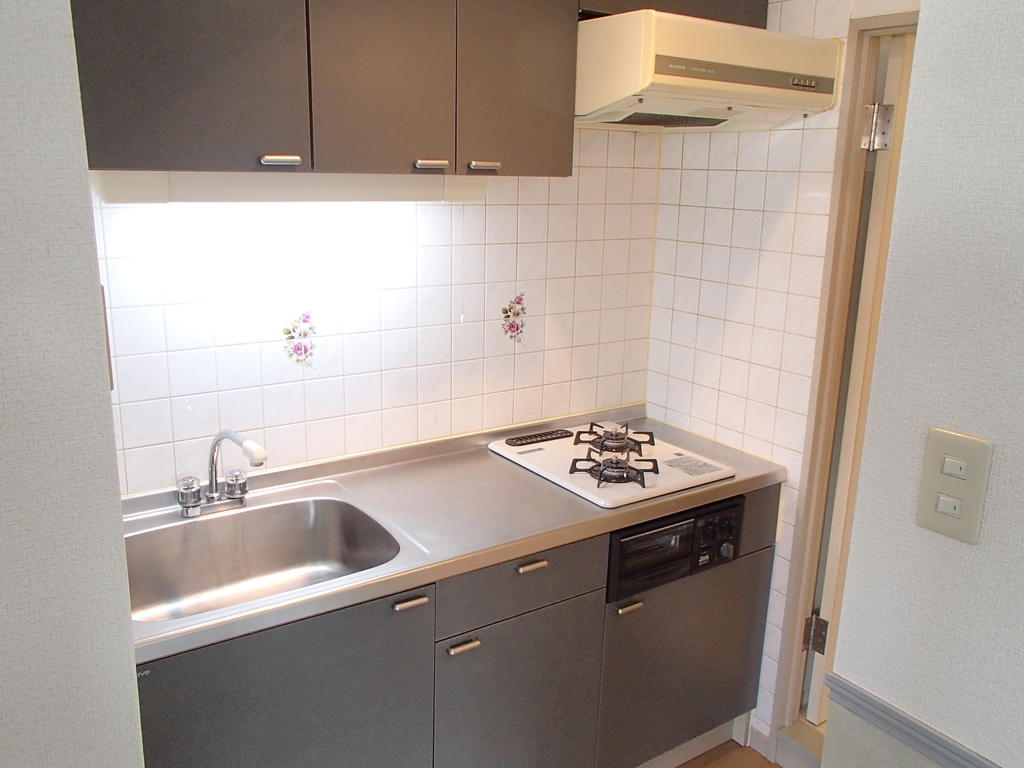 Kitchen. Gas stove (2 burners) is equipped with a fish grill