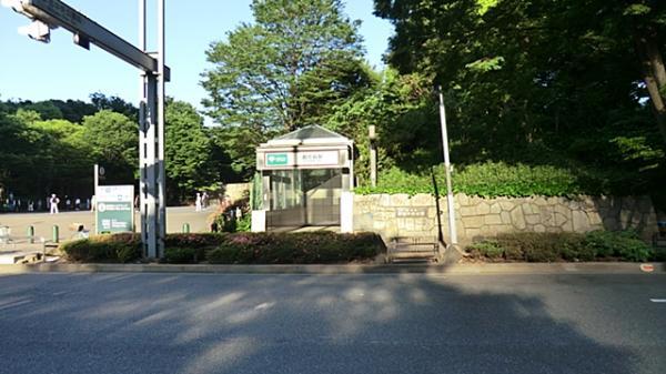 park. 350m to Shinjuku Chuo Park