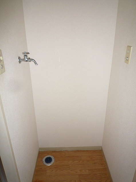 Other room space. Washing machine in the room