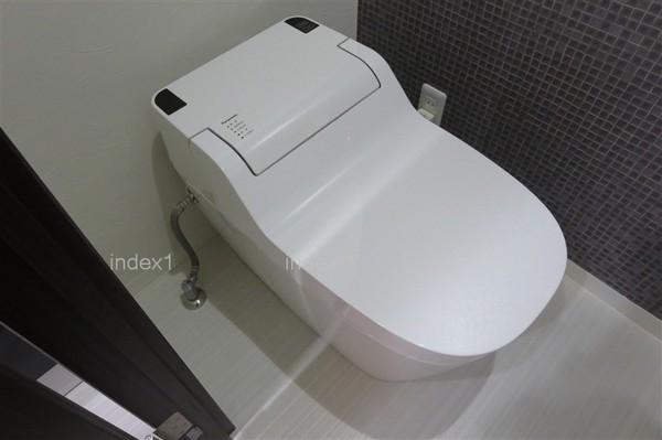 Toilet. Washlet is with