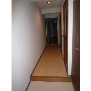 Entrance. The room is a picture of the same type.