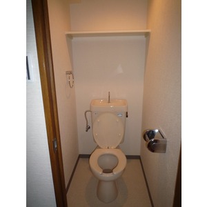 Toilet. The room is a picture of the same type.