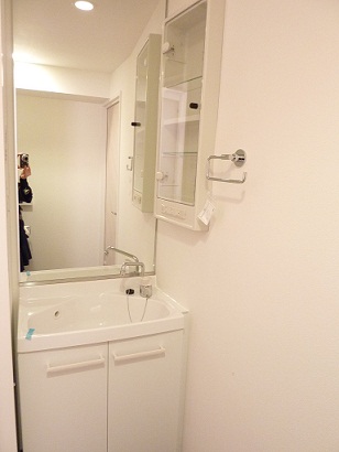 Washroom. Independent wash basin.  ・