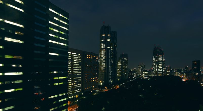 Living and room. View (night)