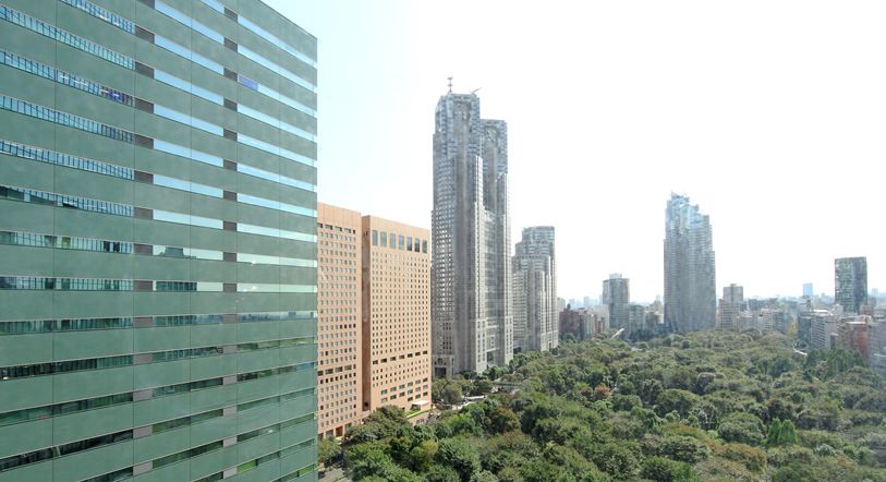 Kitchen. View (noon)