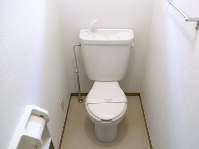 Toilet. Western-style toilet
