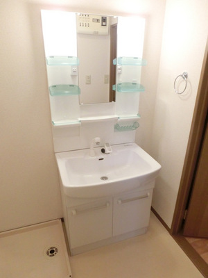 Washroom. Shampoo dresser