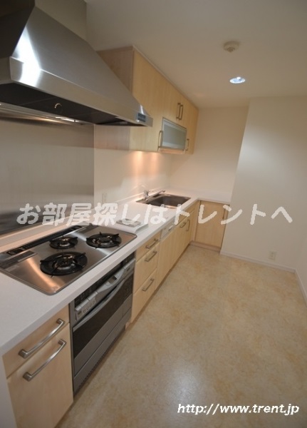 Kitchen. Is a reference photograph of 1LDK of the same building