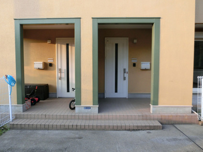 Entrance. Apartment entrance