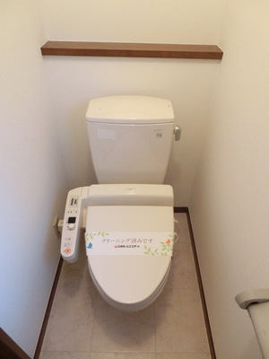 Toilet. Cleaning function toilet