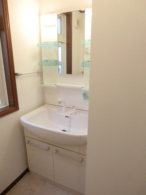 Washroom. Separate vanity (there is also on the second floor)