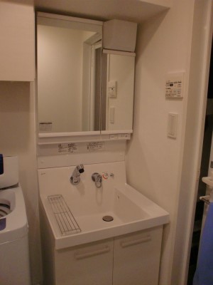 Washroom. Bathroom vanity
