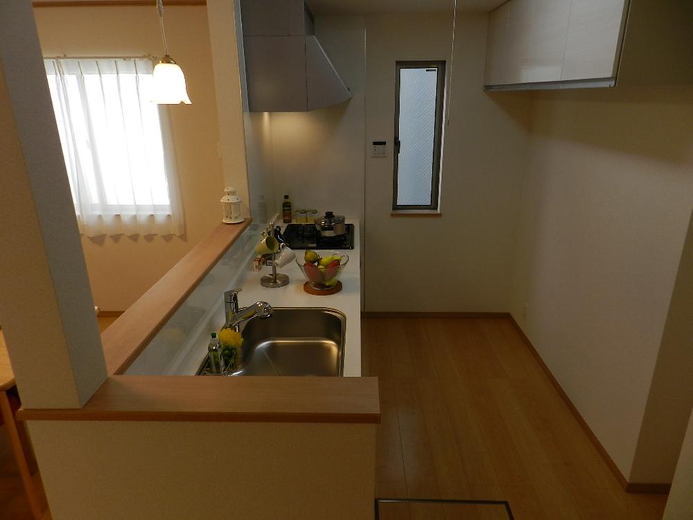 Kitchen. Counter Type