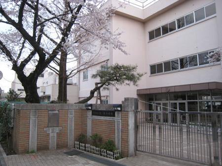 Primary school. Pine trees up to elementary school 400m